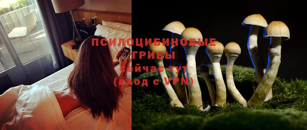 кокаин Белокуриха